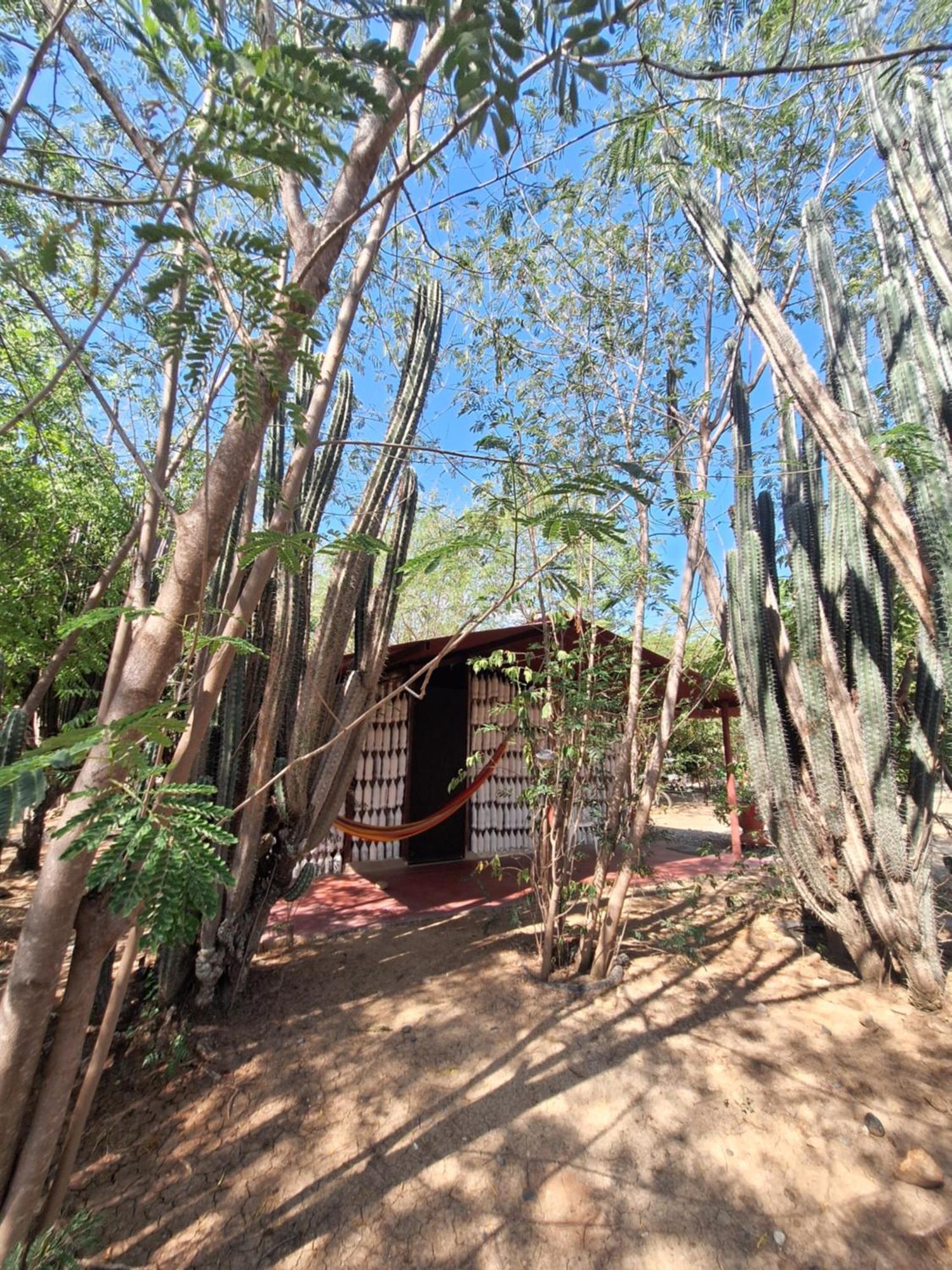 Alojamiento Casa De Campo Los Cactus Villavieja Exterior photo