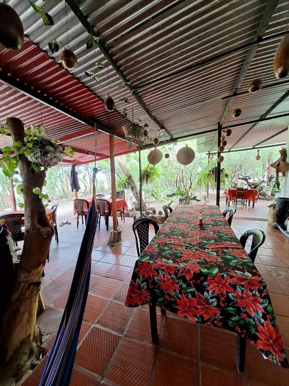 Alojamiento Casa De Campo Los Cactus Villavieja Exterior photo